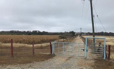 TERRENO EN VENTA HUALAHUISES