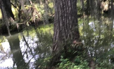 TERRENO EN VENTA HUALAHUISES