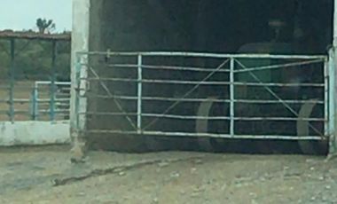 TERRENO EN VENTA HUALAHUISES