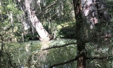 TERRENO EN VENTA HUALAHUISES