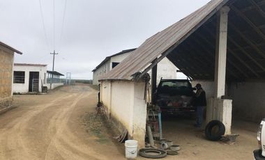 TERRENO EN VENTA HUALAHUISES