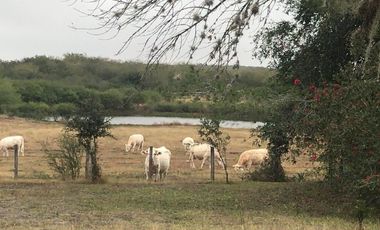 TERRENO EN VENTA HUALAHUISES