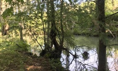 TERRENO EN VENTA HUALAHUISES