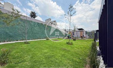 Ceiba Arborada en Lago Esmeralda