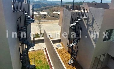 Ceiba Arborada en Lago Esmeralda