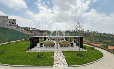 Ceiba Arborada en Lago Esmeralda