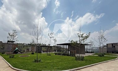 Ceiba Arborada en Lago Esmeralda