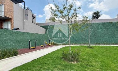 Ceiba Arborada en Lago Esmeralda