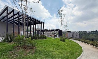 Ceiba Arborada en Lago Esmeralda