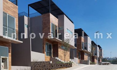 Ceiba Arborada en Lago Esmeralda