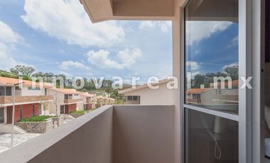 Ceiba Arborada en Lago Esmeralda