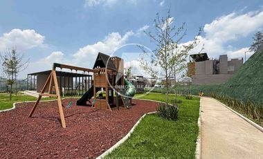 Ceiba Arborada en Lago Esmeralda