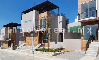 Ceiba Arborada en Lago Esmeralda