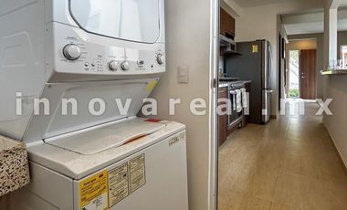 Ceiba Arborada en Lago Esmeralda