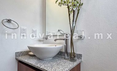 Ceiba Arborada en Lago Esmeralda