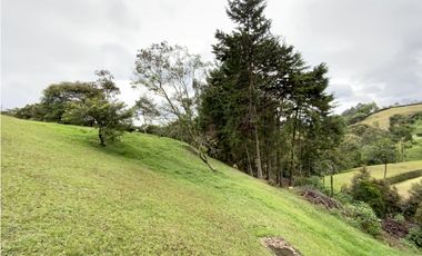 Lote Parcelacion Via San Antonio La Ceja