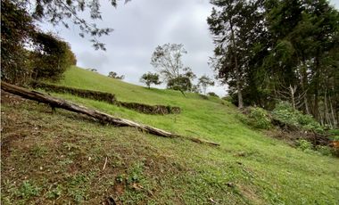 Lote Parcelacion Via San Antonio La Ceja