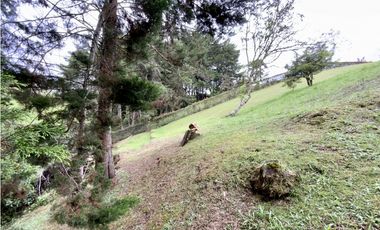 Lote Parcelacion Via San Antonio La Ceja