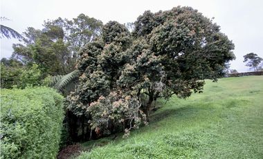 Lote Parcelacion Via San Antonio La Ceja
