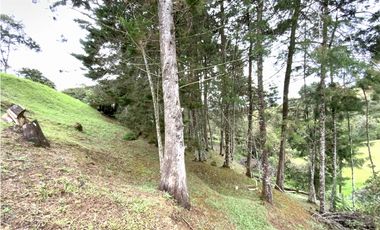 Lote Parcelacion Via San Antonio La Ceja