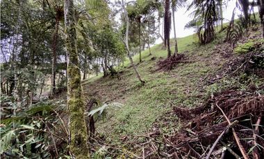 Lote Parcelacion Via San Antonio La Ceja