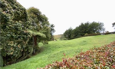 Lote Parcelacion Via San Antonio La Ceja