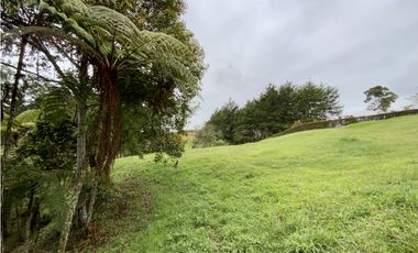 Lote Parcelacion Via San Antonio La Ceja