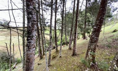 Lote Parcelacion Via San Antonio La Ceja