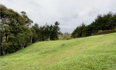 Lote Parcelacion Via San Antonio La Ceja