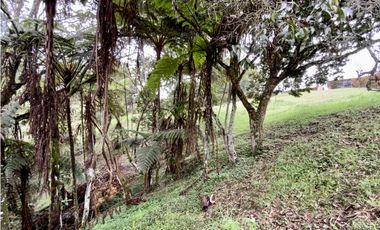 Lote Parcelacion Via San Antonio La Ceja