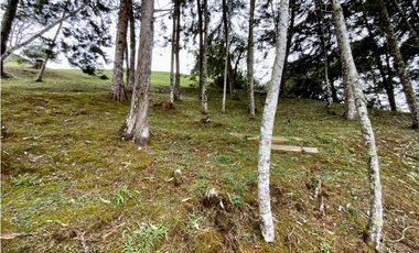 Lote Parcelacion Via San Antonio La Ceja
