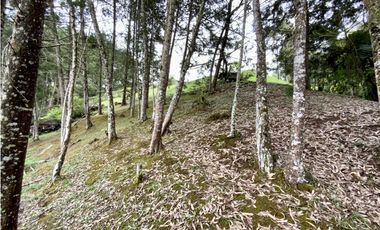 Lote Parcelacion Via San Antonio La Ceja