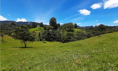 Venta de Lote en Parcelación via Carabanchel hacia la Fe