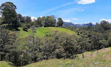 Venta de Lote en Parcelación via Carabanchel hacia la Fe