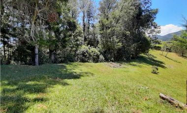 Venta de Lote en Parcelación via Carabanchel hacia la Fe