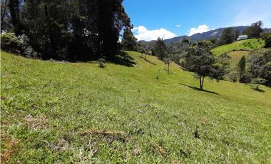 Venta de Lote en Parcelación via Carabanchel hacia la Fe