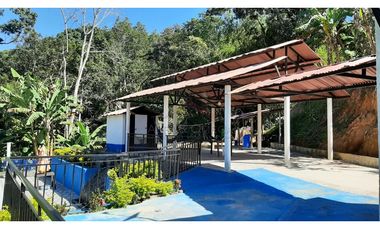 Venta de Finca Turística y Productiva en El Totumo – Ibagué