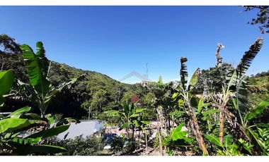 Venta de Finca Turística y Productiva en El Totumo – Ibagué