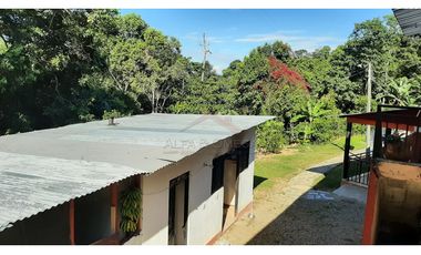 Venta de Finca Turística y Productiva en El Totumo – Ibagué