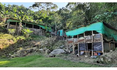 Venta de Finca Turística y Productiva en El Totumo – Ibagué