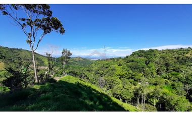 Venta de Finca Turística y Productiva en El Totumo – Ibagué