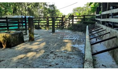 Venta de Finca Turística y Productiva en El Totumo – Ibagué