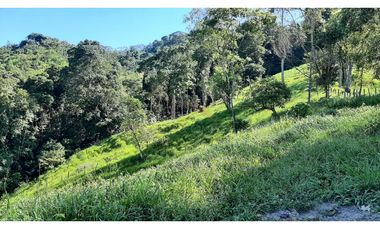 Venta de Finca Turística y Productiva en El Totumo – Ibagué