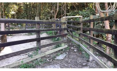 Venta de Finca Turística y Productiva en El Totumo – Ibagué