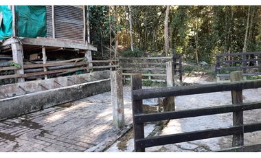 Venta de Finca Turística y Productiva en El Totumo – Ibagué