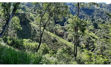 Venta de Finca Turística y Productiva en El Totumo – Ibagué