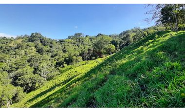 Venta de Finca Turística y Productiva en El Totumo – Ibagué