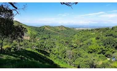 Venta de Finca Turística y Productiva en El Totumo – Ibagué