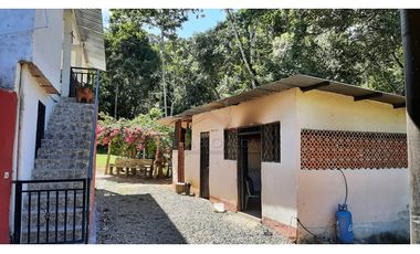 Venta de Finca Turística y Productiva en El Totumo – Ibagué