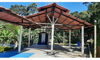 Venta de Finca Turística y Productiva en El Totumo – Ibagué
